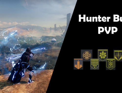 Hunter PVP Build